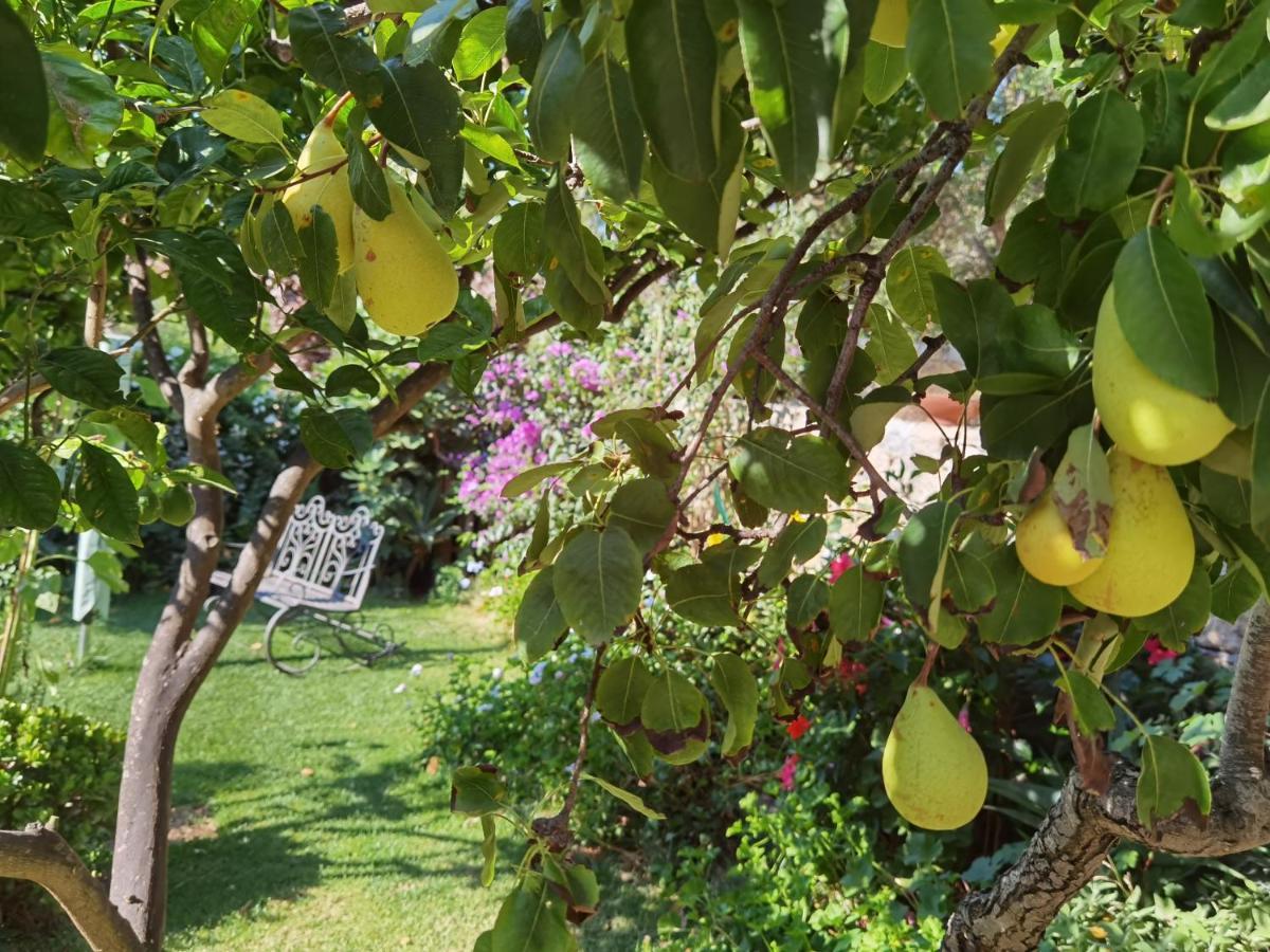 Il Giardino Di Tatiana Rooms & Breakfast La Maddalena (Sassari) Exterior foto