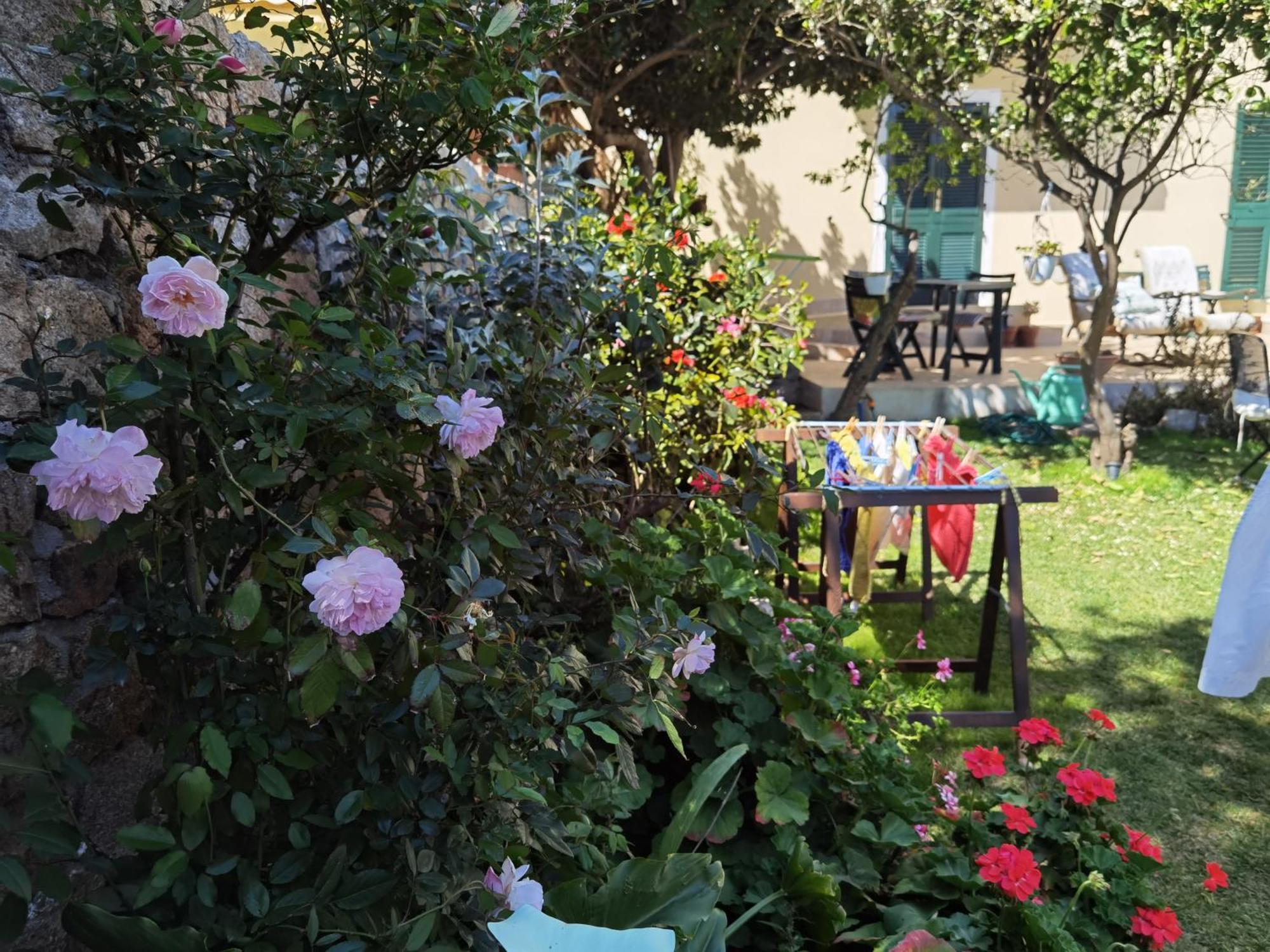 Il Giardino Di Tatiana Rooms & Breakfast La Maddalena (Sassari) Quarto foto