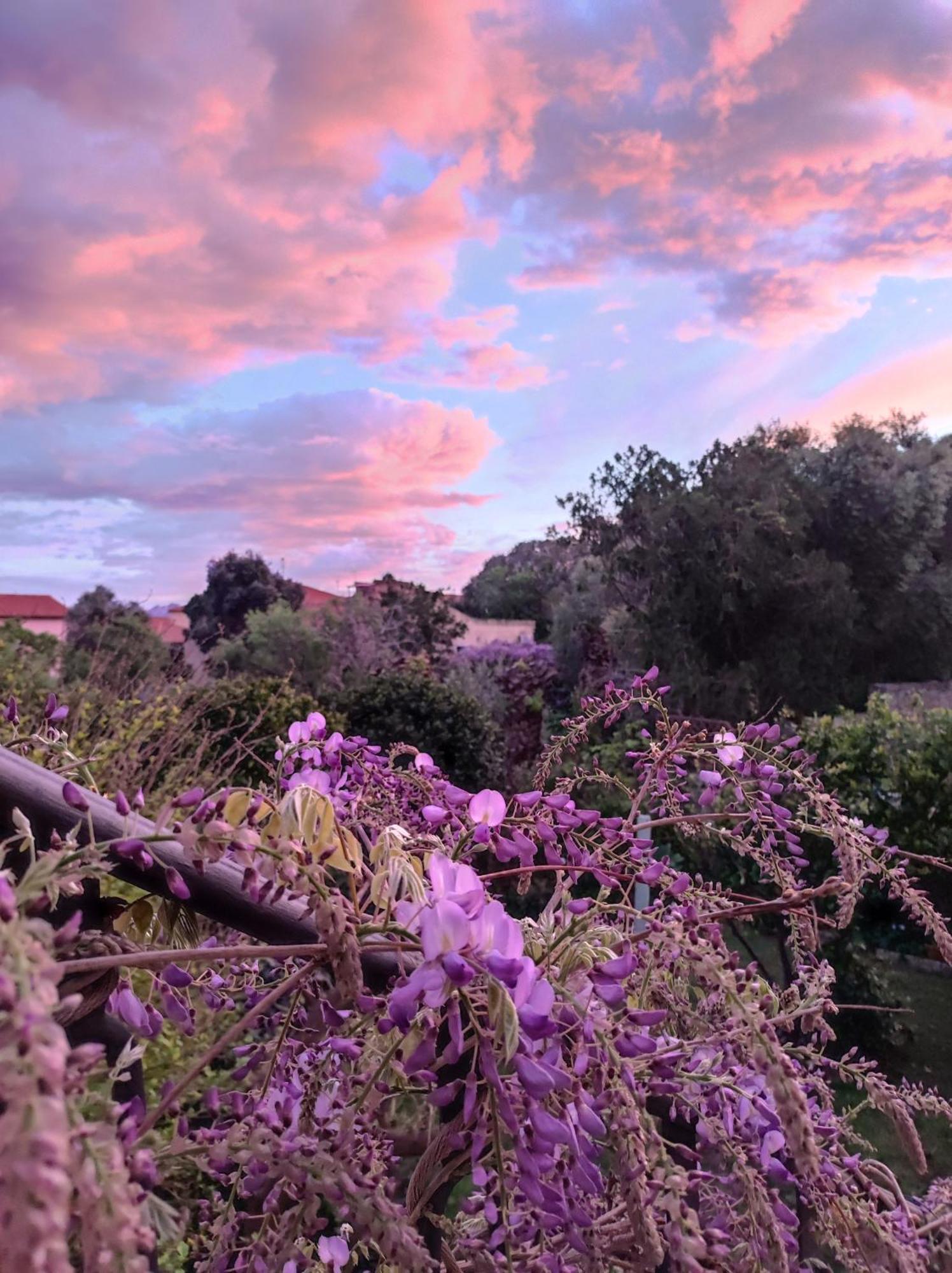Il Giardino Di Tatiana Rooms & Breakfast La Maddalena (Sassari) Quarto foto