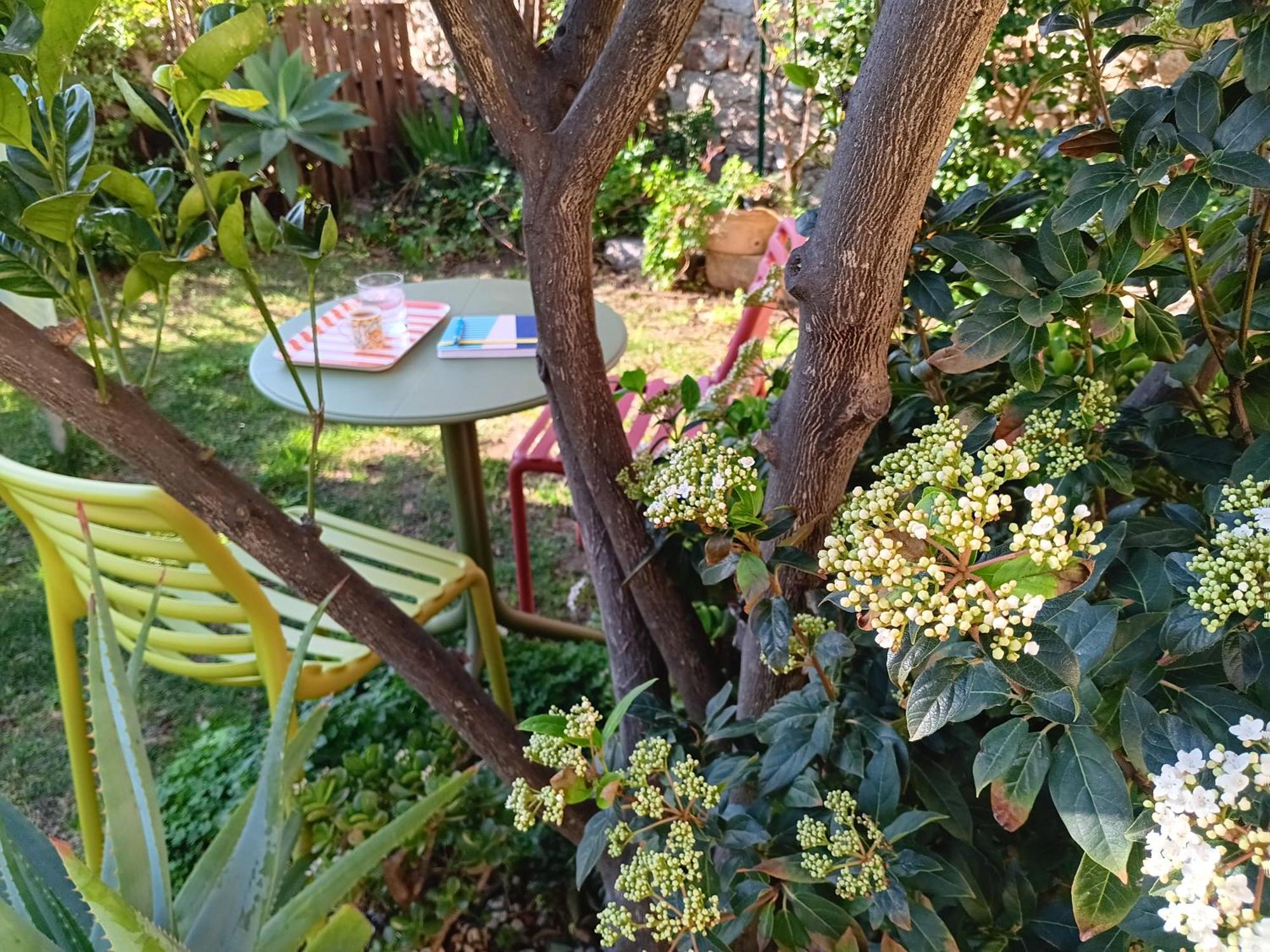 Il Giardino Di Tatiana Rooms & Breakfast La Maddalena (Sassari) Quarto foto